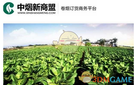 领导对某些事情很急，但是到了他那里却迟迟没有决策是什么原因？